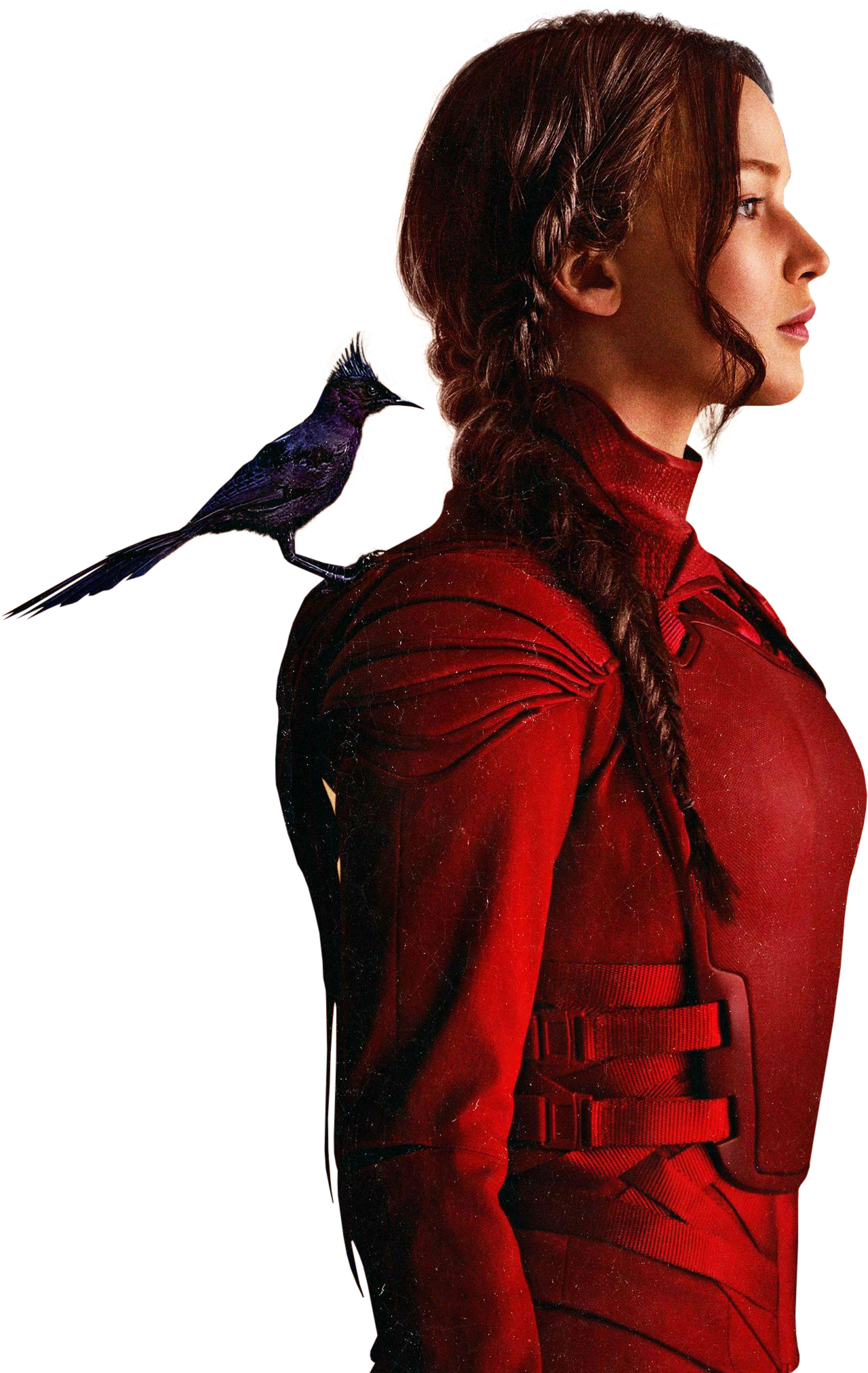 The Hunger Games Transparent PNG Image