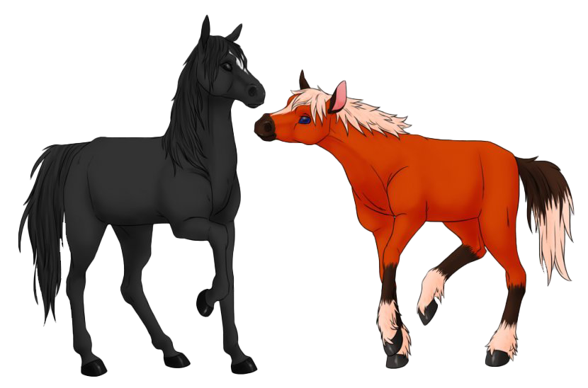 Epona Transparent PNG Image