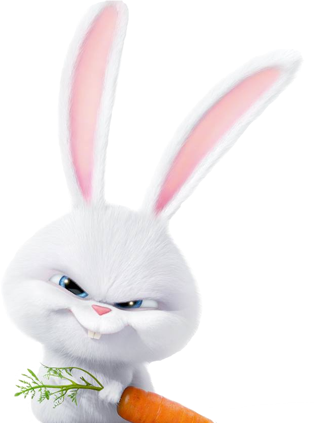Life Pets Of Snowball Secret Rabbit Transparent PNG Image