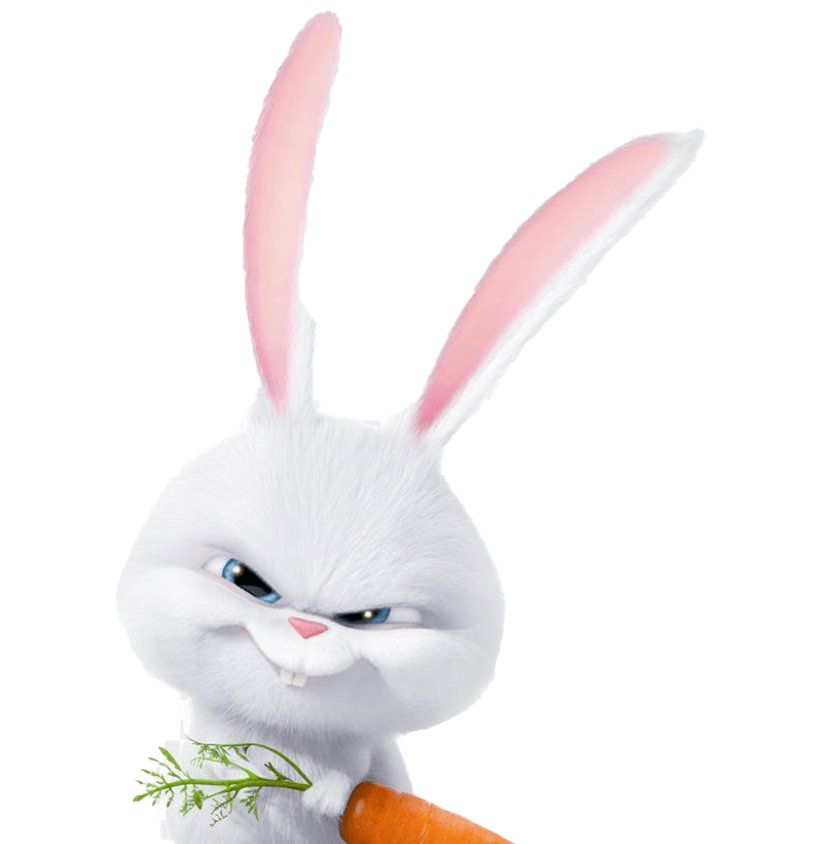 Gidget Transparent PNG Image