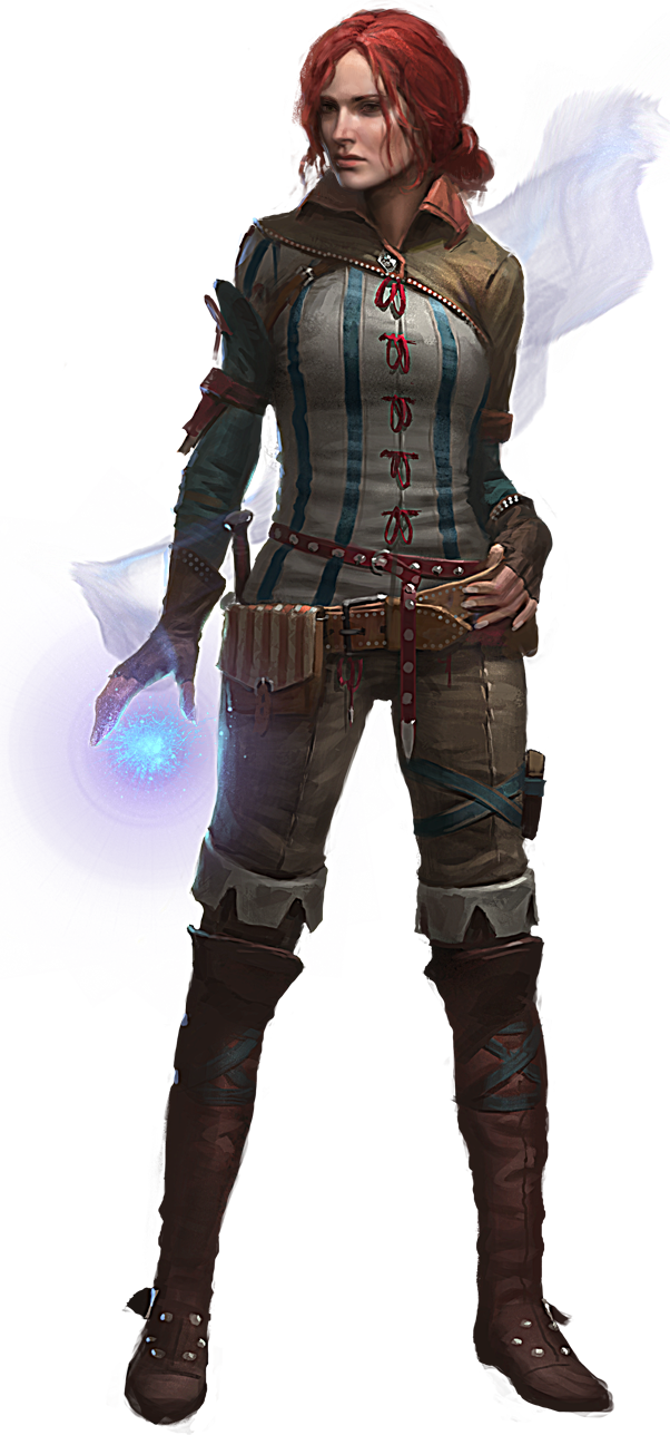 The Witcher Transparent PNG Image