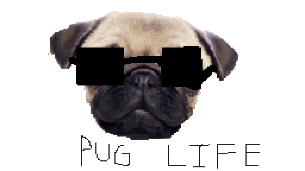 Pug Life Transparent PNG Image