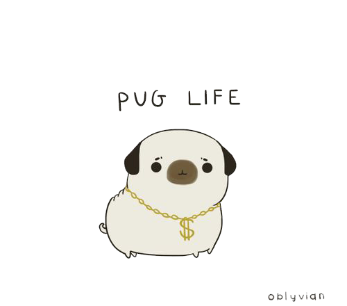 Pug Life Transparent PNG Image