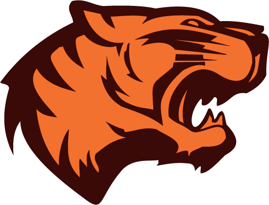 Tiger Face Transparent PNG Image