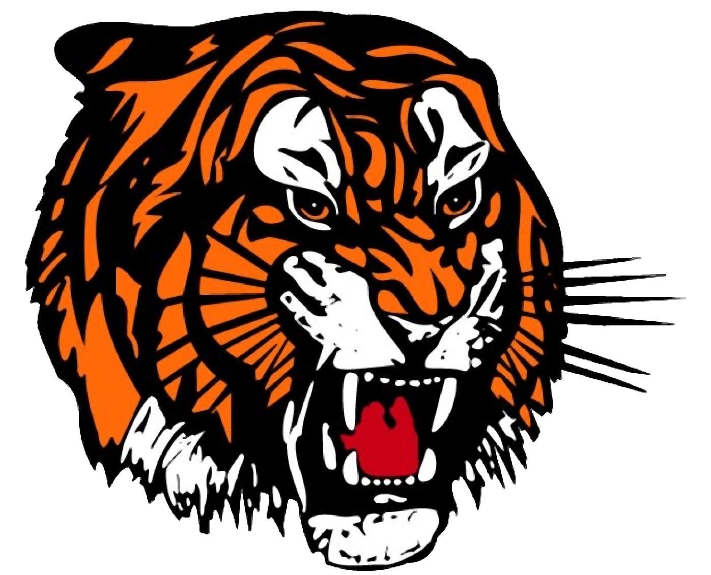 Tiger Face Transparent PNG Image