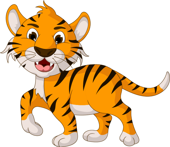 Tiger Cartoon Illustration Drawing Transparent PNG Image