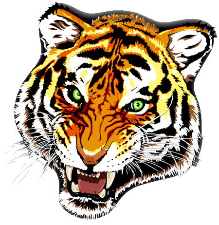 Tiger Tattoos Transparent PNG Image