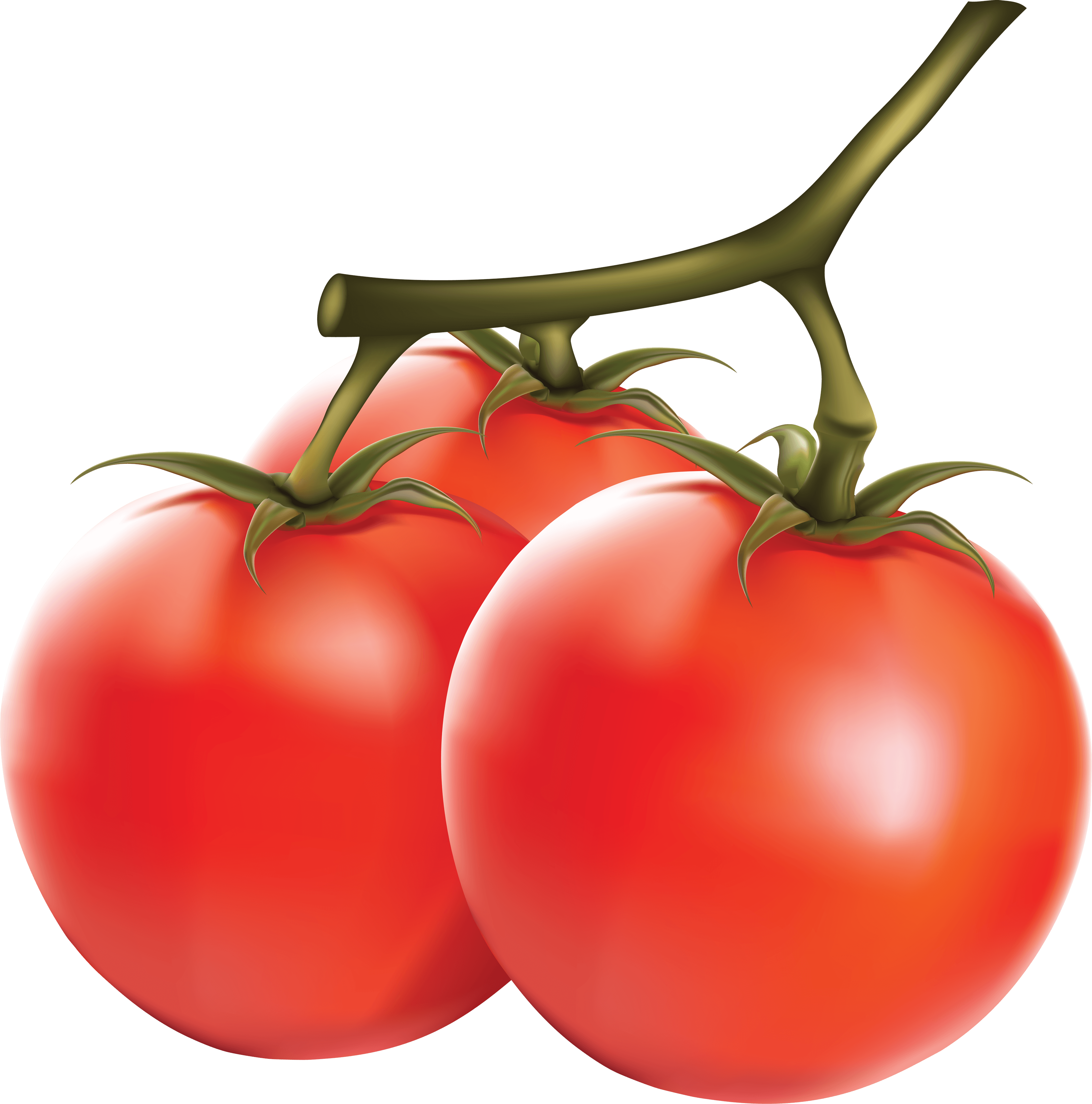 Tomato Transparent PNG Image