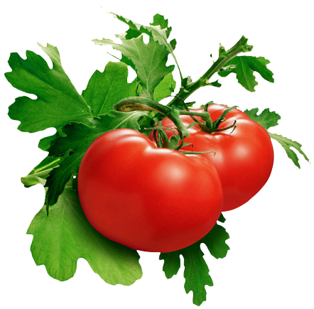 Tomato Transparent PNG Image