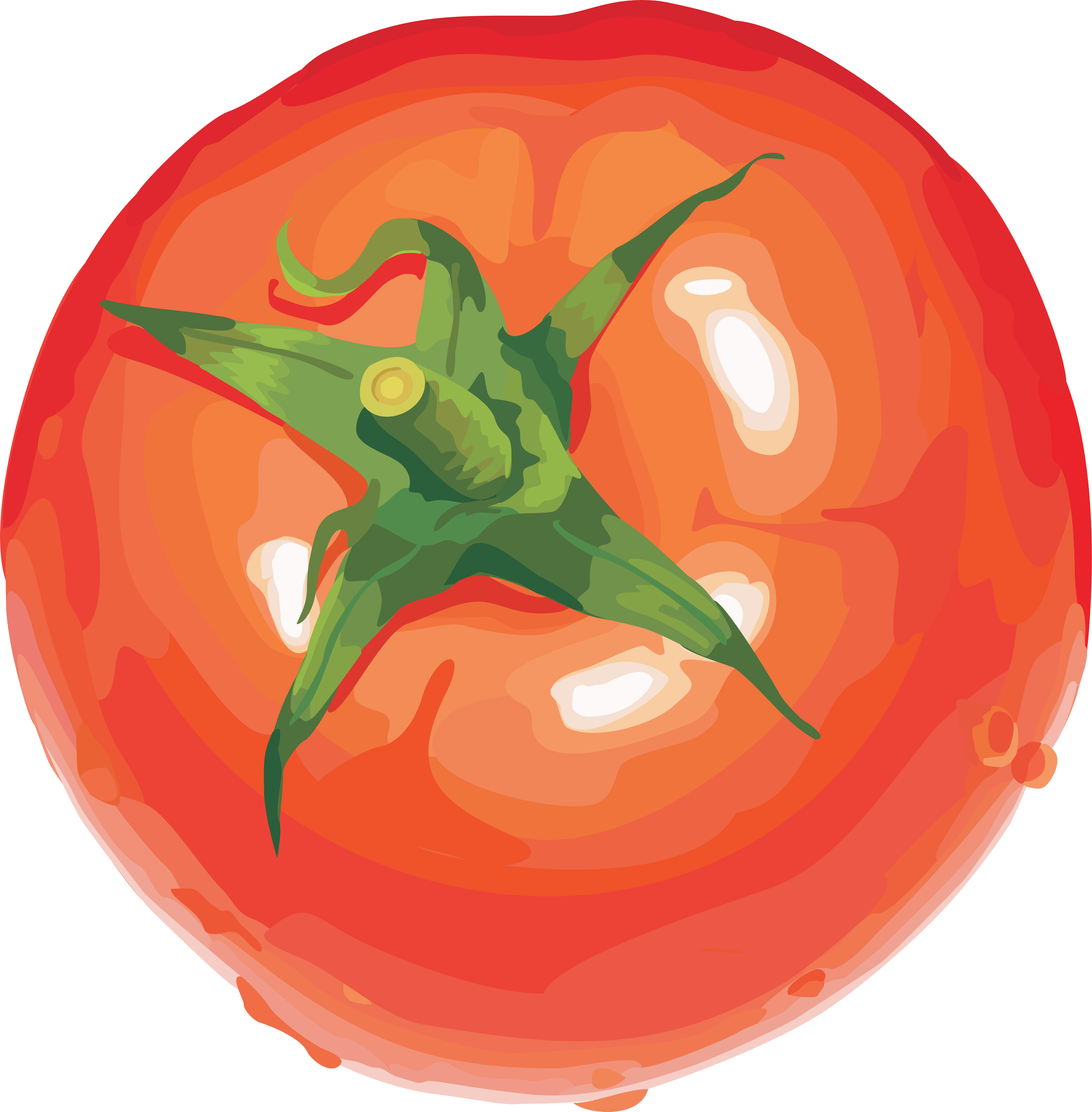 Tomato Transparent PNG Image