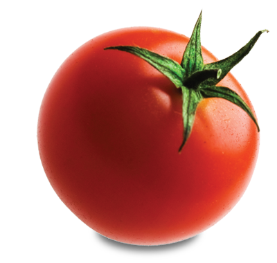 Tomato Transparent PNG Image
