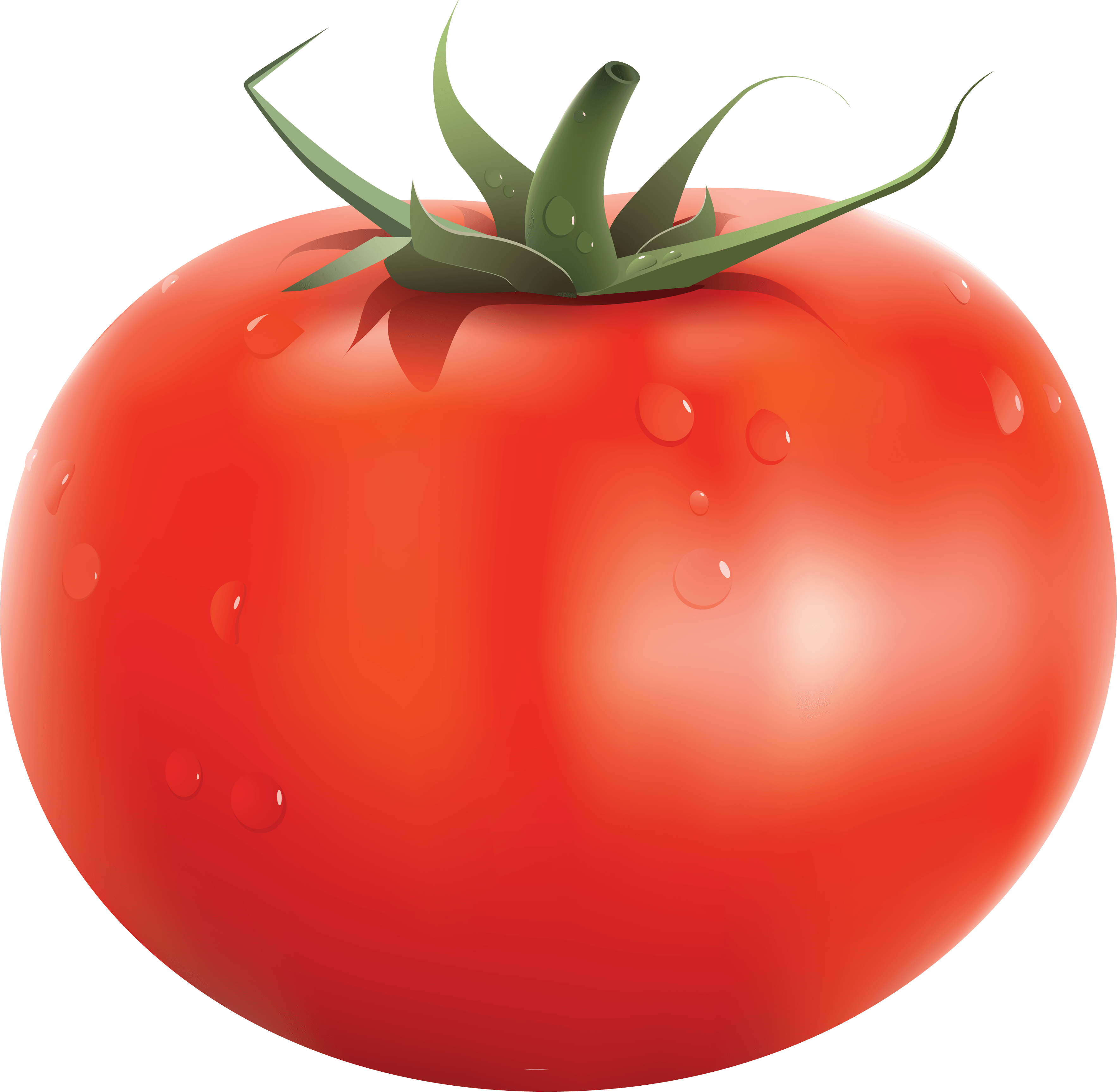 Tomato Transparent PNG Image