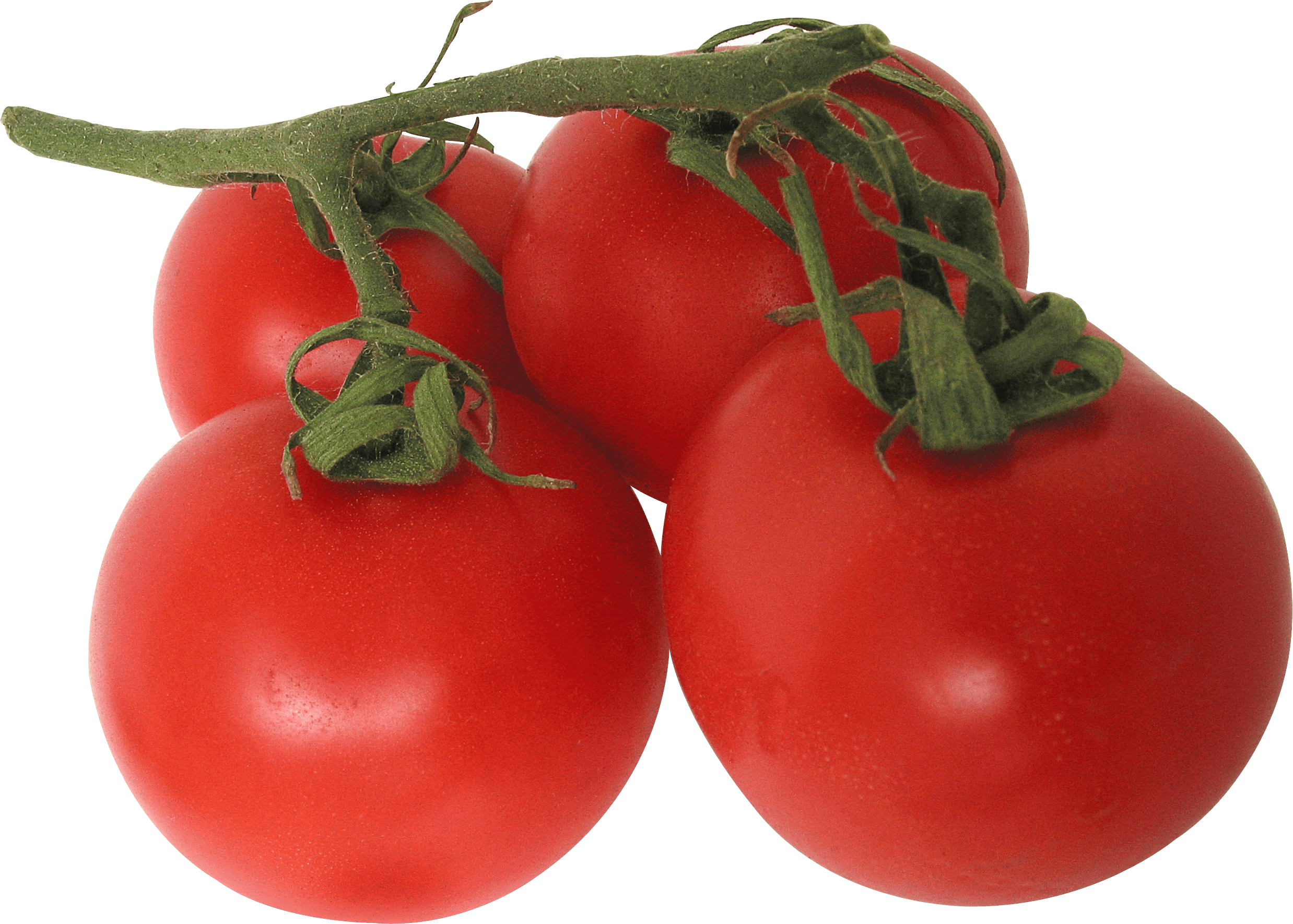 Tomato Transparent PNG Image