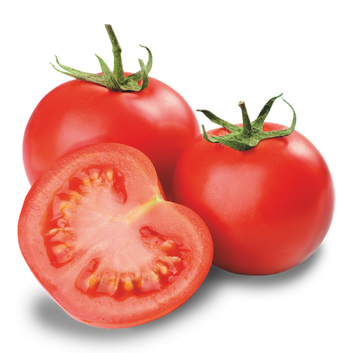 Fresh Tomatoes Bunch Transparent PNG Image