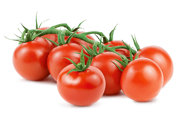 Fresh Tomatoes Bunch Transparent PNG Image