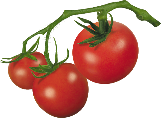 Fresh Tomatoes Bunch Transparent PNG Image
