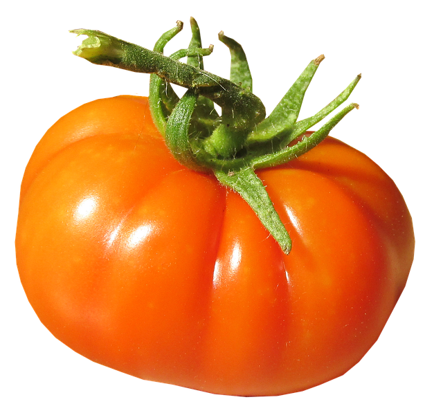 Fresh Juicy Tomatoes Bunch Transparent PNG Image