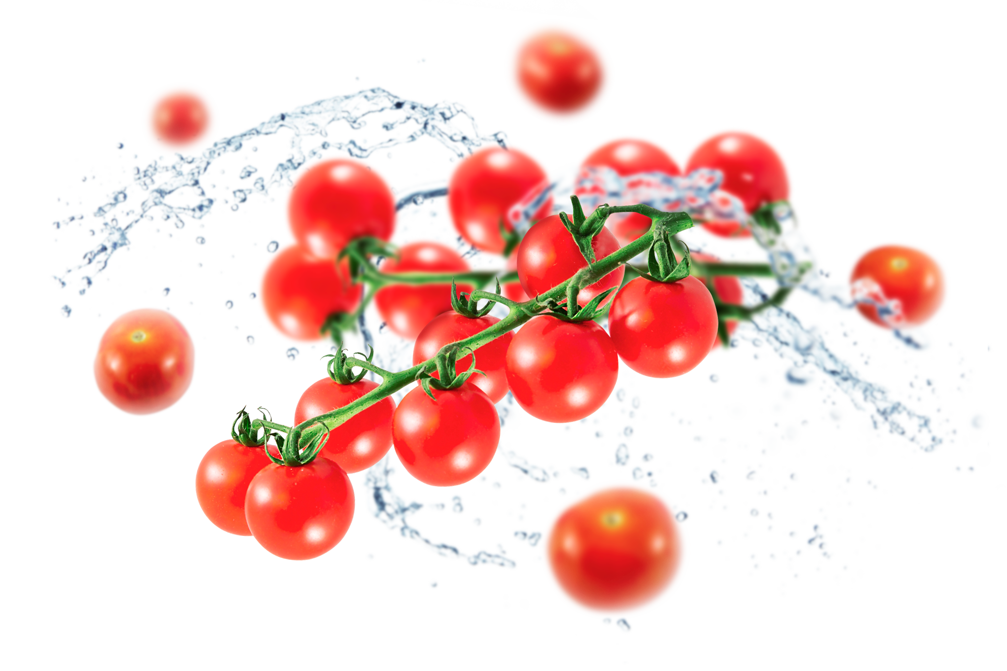 Fresh Juicy Tomatoes Bunch Transparent PNG Image