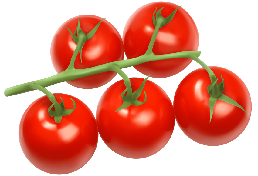 Fresh Juicy Tomatoes Bunch Transparent PNG Image