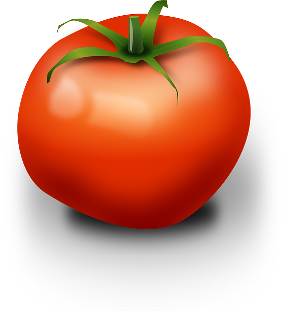 Fresh Organic Tomatoes Bunch Transparent PNG Image