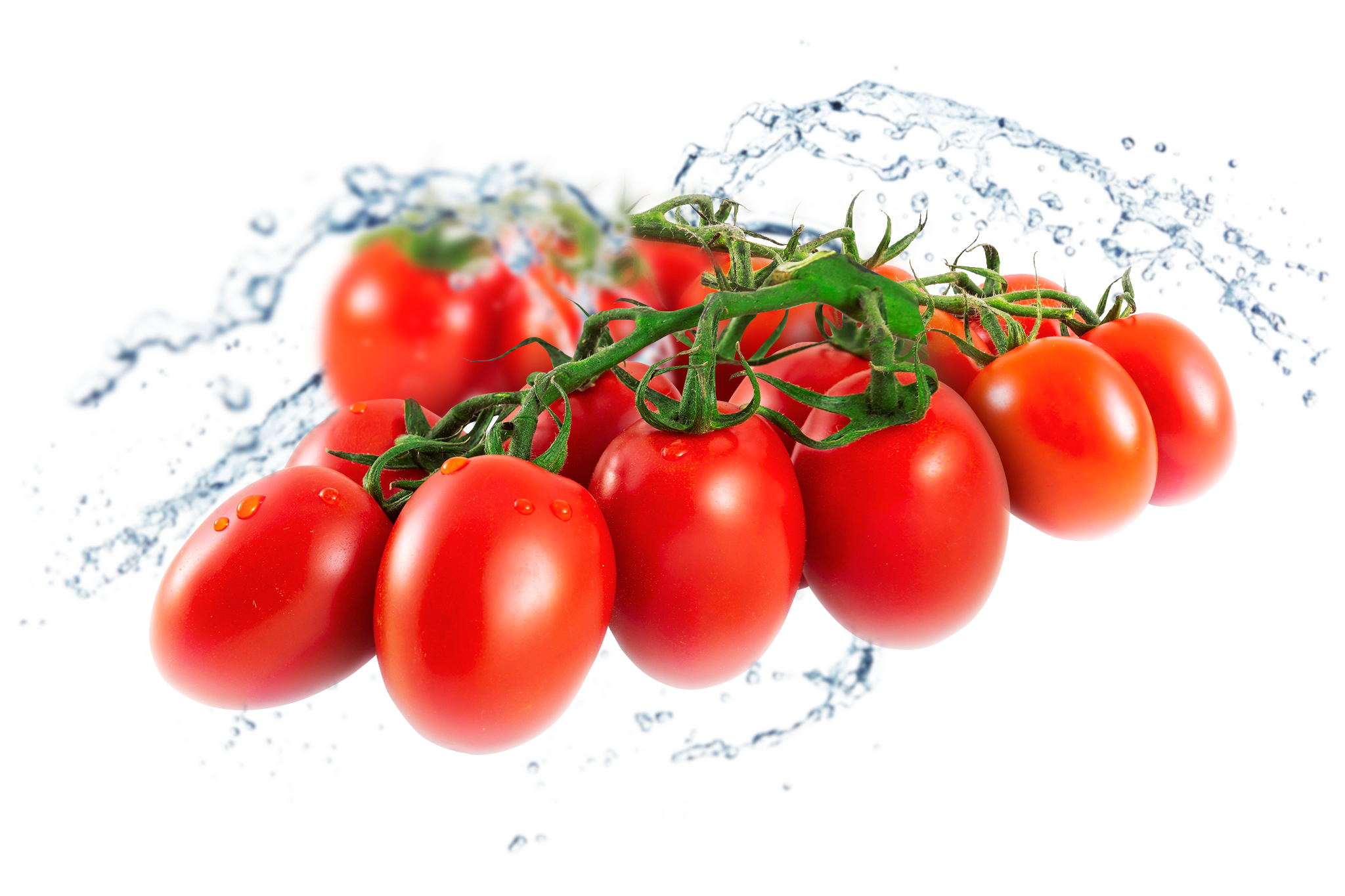 Fresh Organic Tomatoes Bunch Transparent PNG Image