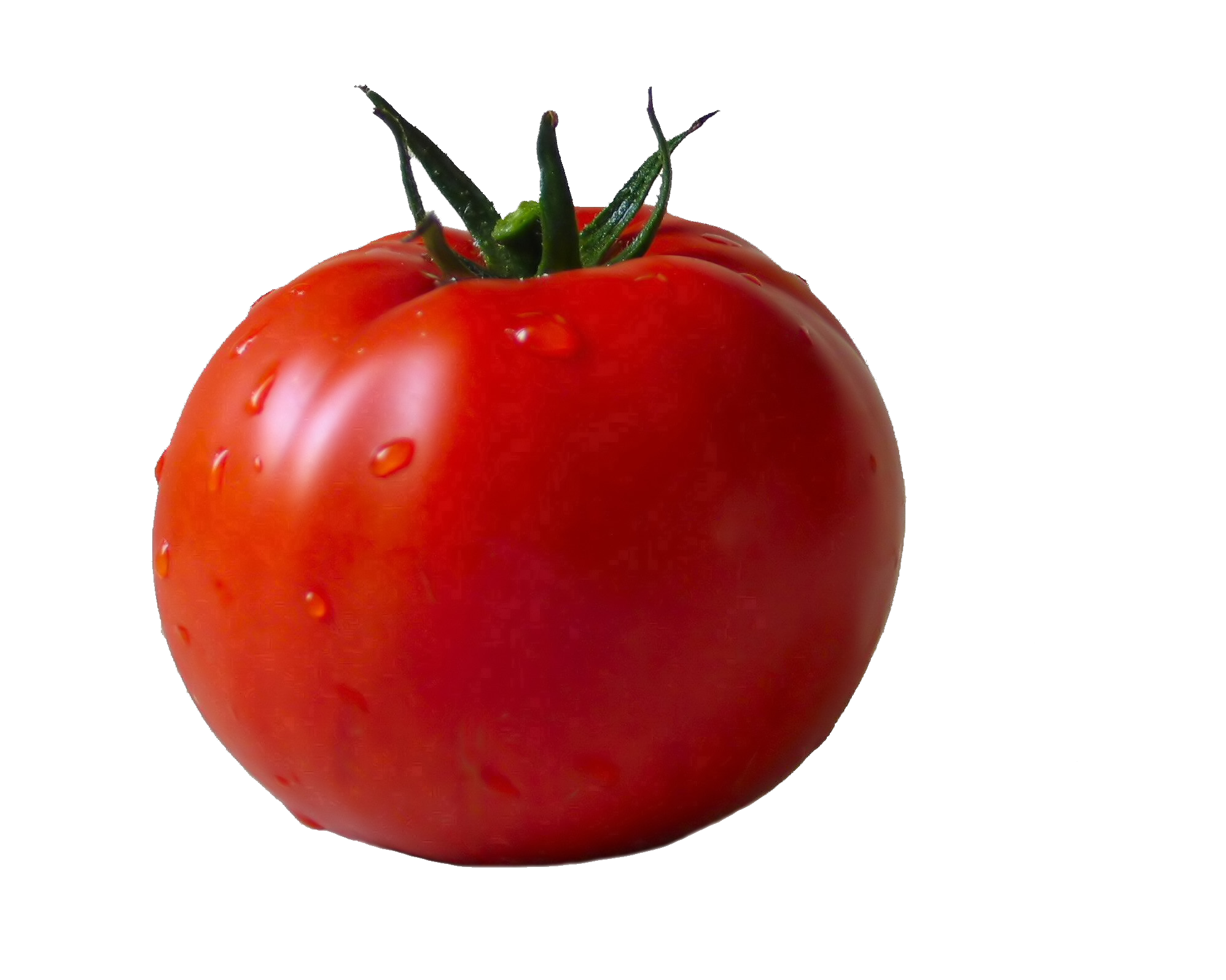 Fresh Tomatoes Red Bunch Transparent PNG Image