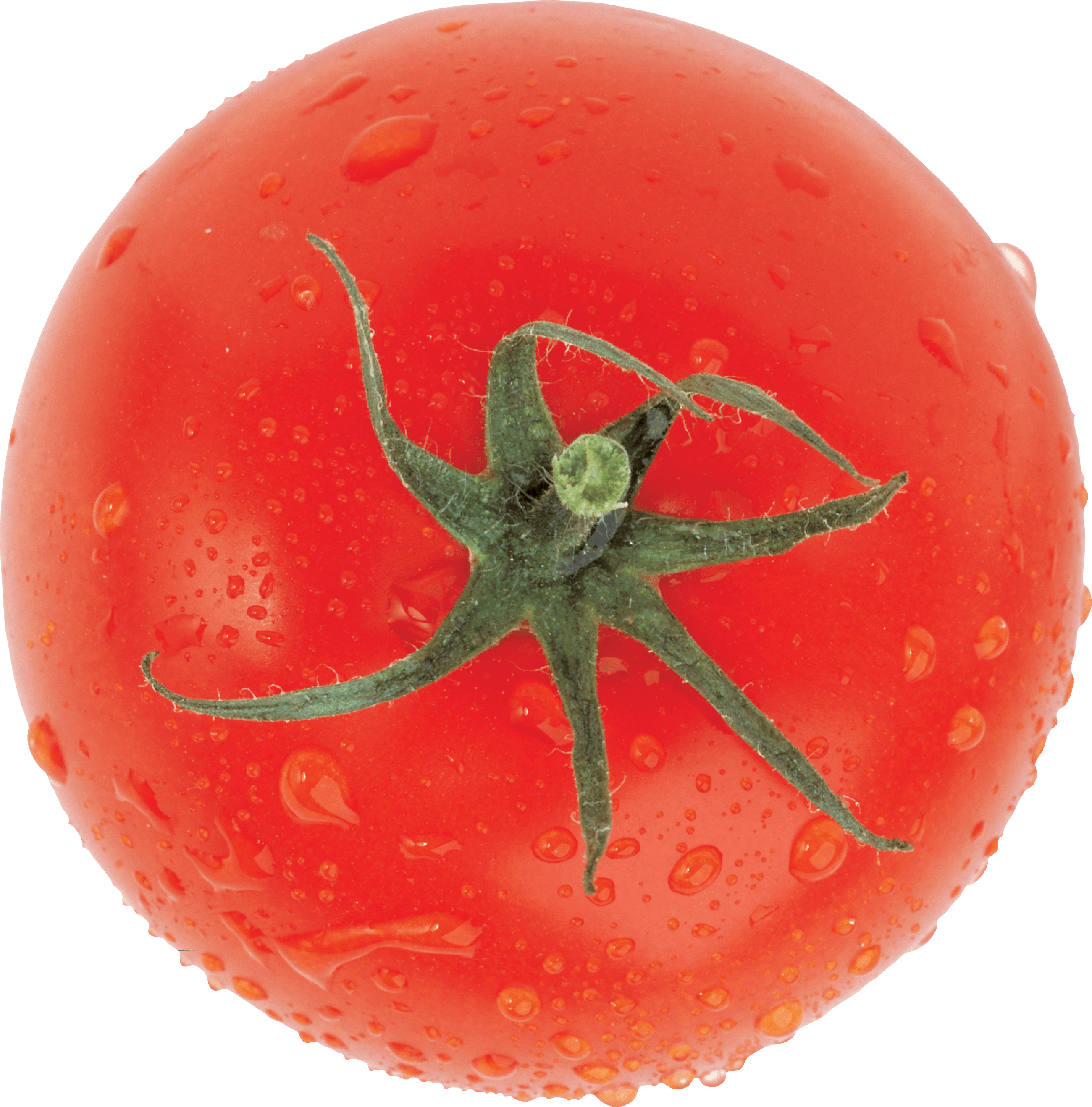 Tomato Transparent PNG Image