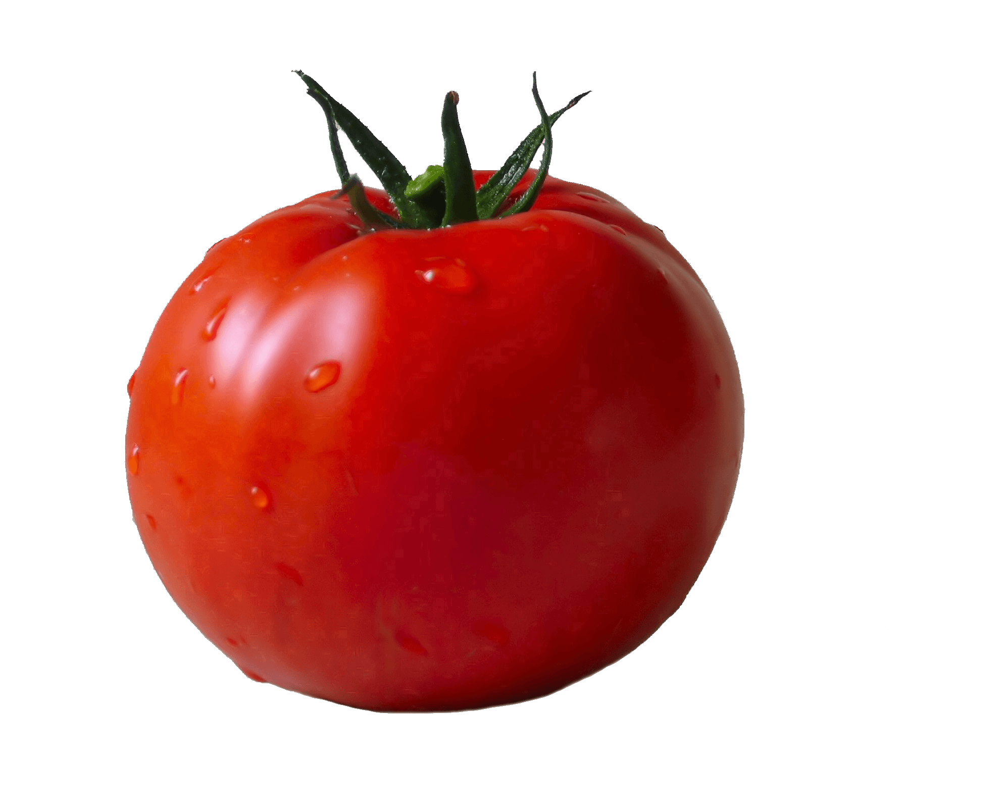 Tomato Transparent PNG Image
