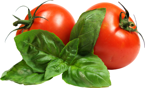 Tomato Transparent PNG Image