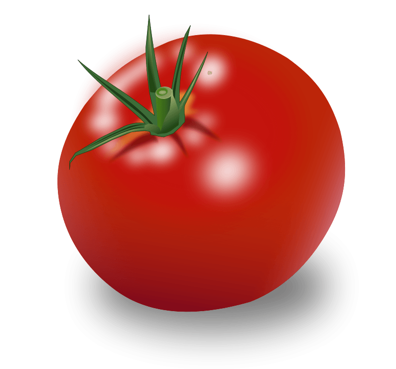 Tomato Transparent PNG Image