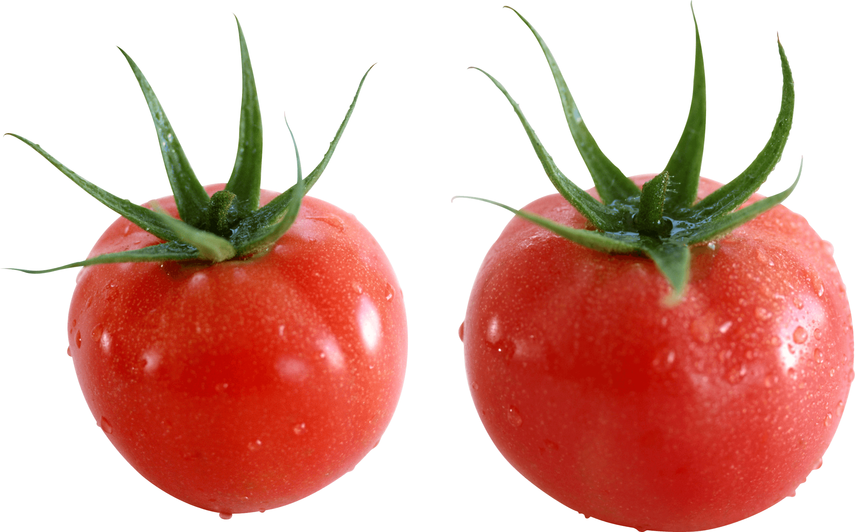 Tomato Transparent PNG Image