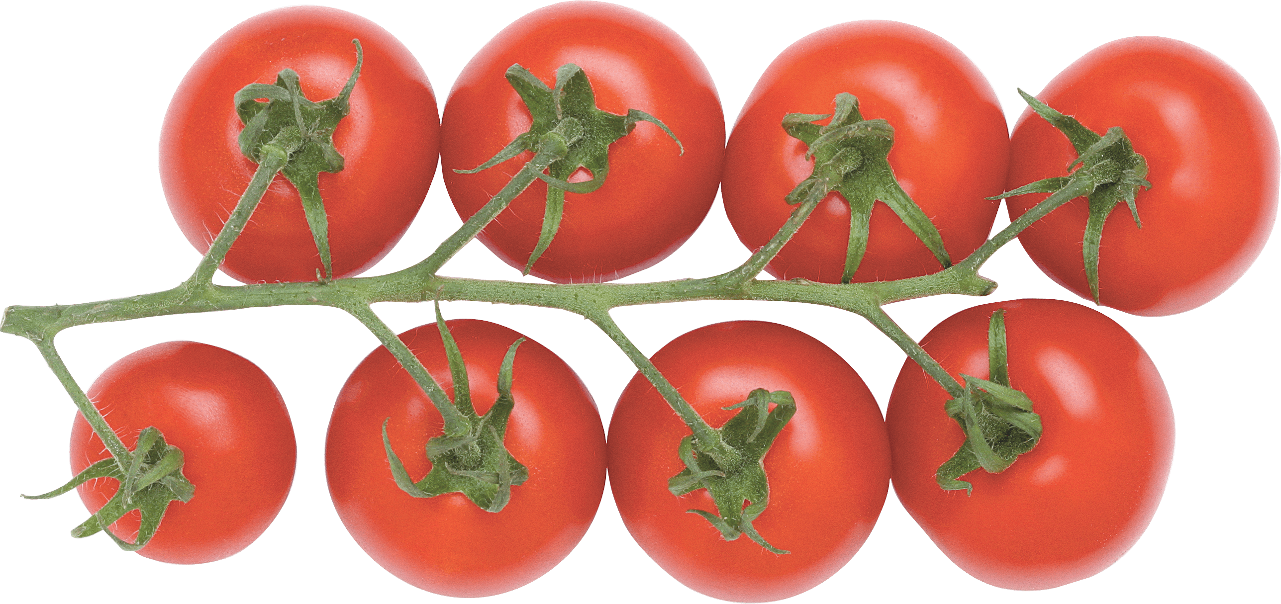Tomato Transparent PNG Image