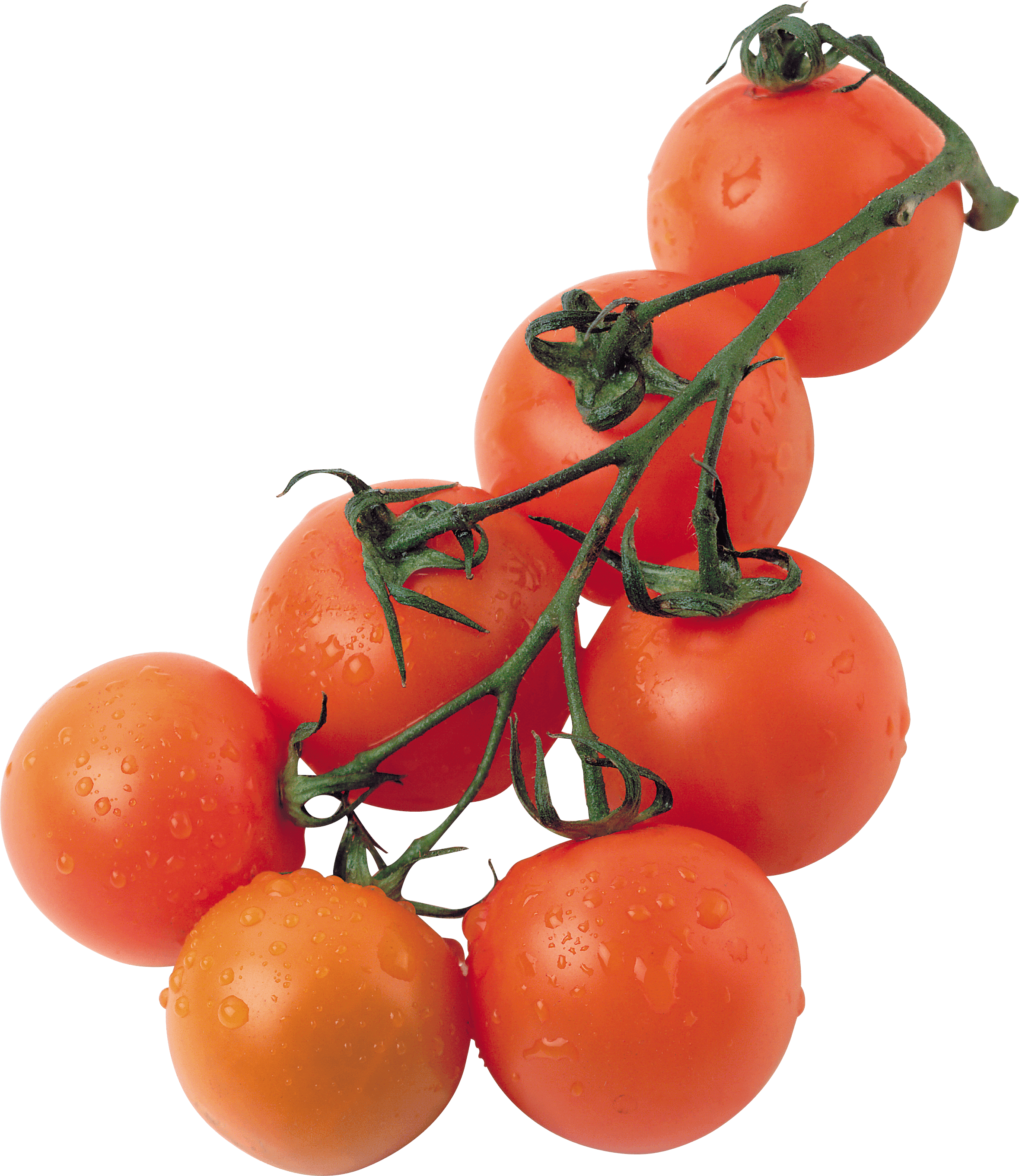 Tomato Transparent PNG Image