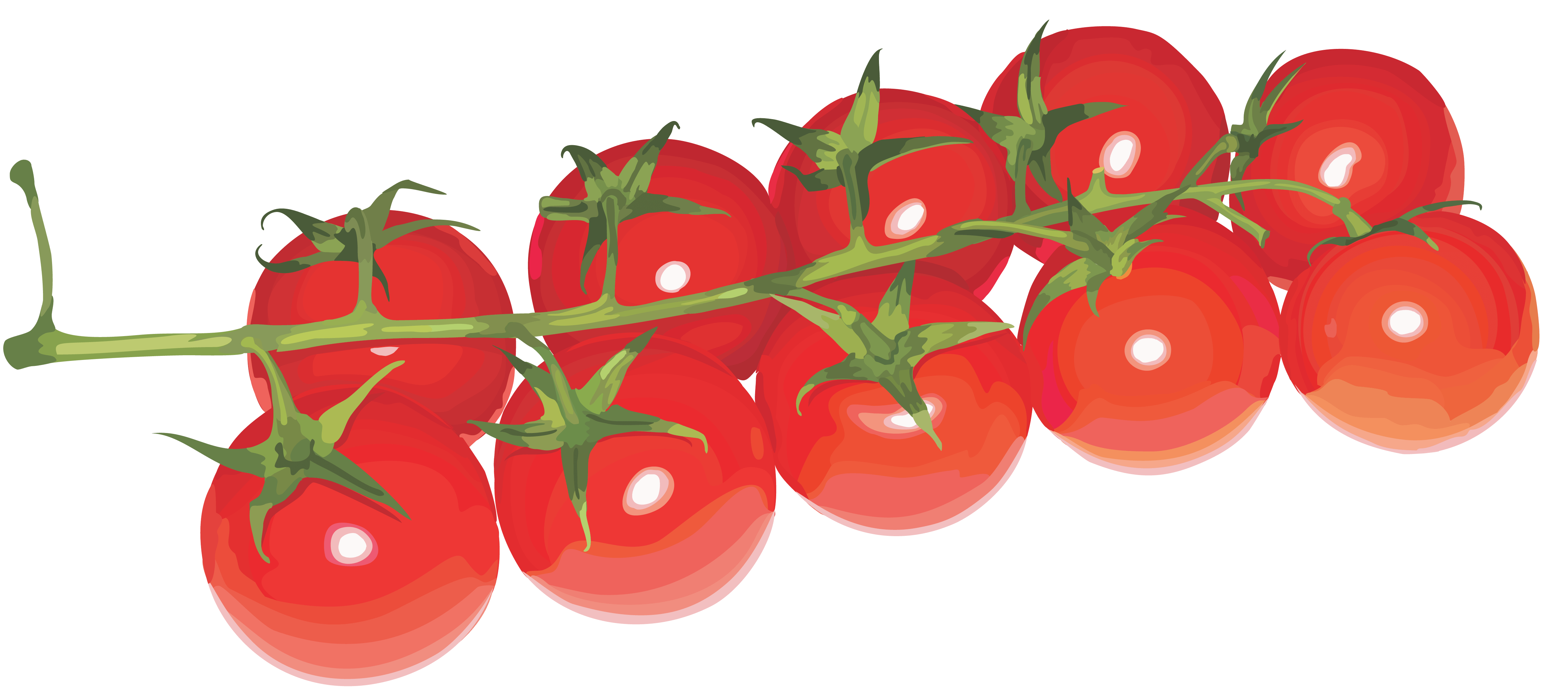 Tomato Transparent PNG Image