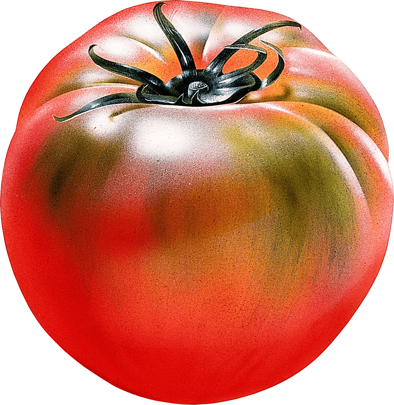 Tomato Transparent PNG Image