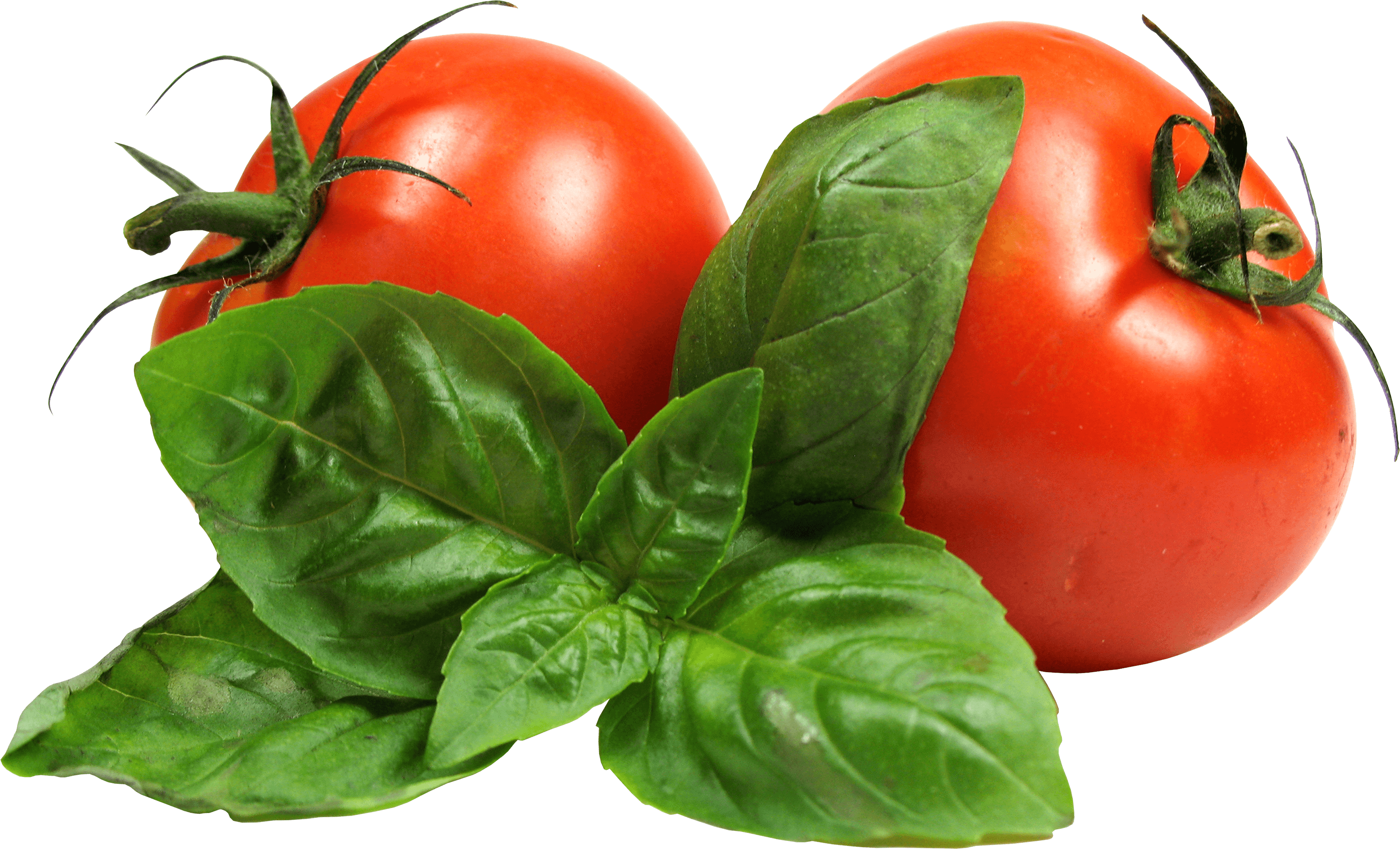 Tomato Transparent PNG Image