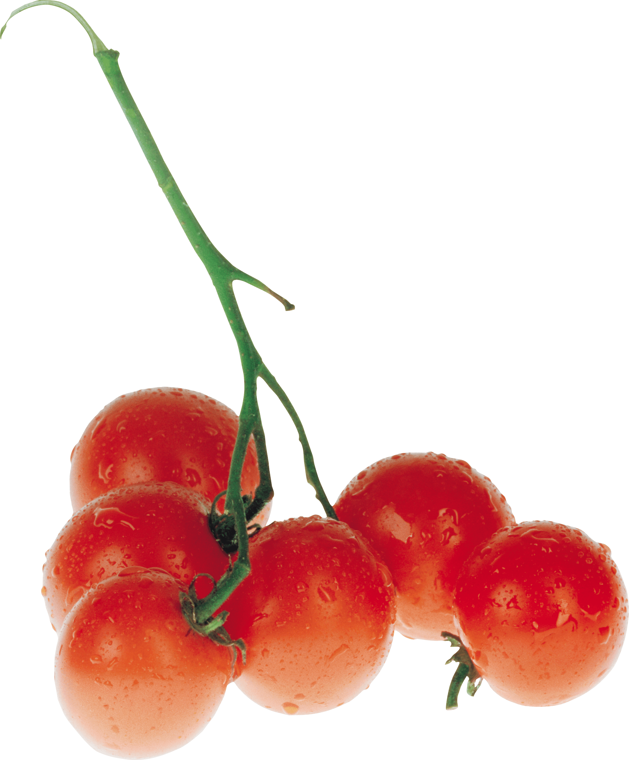 Tomato Transparent PNG Image