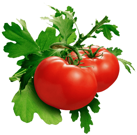 Tomato Transparent PNG Image