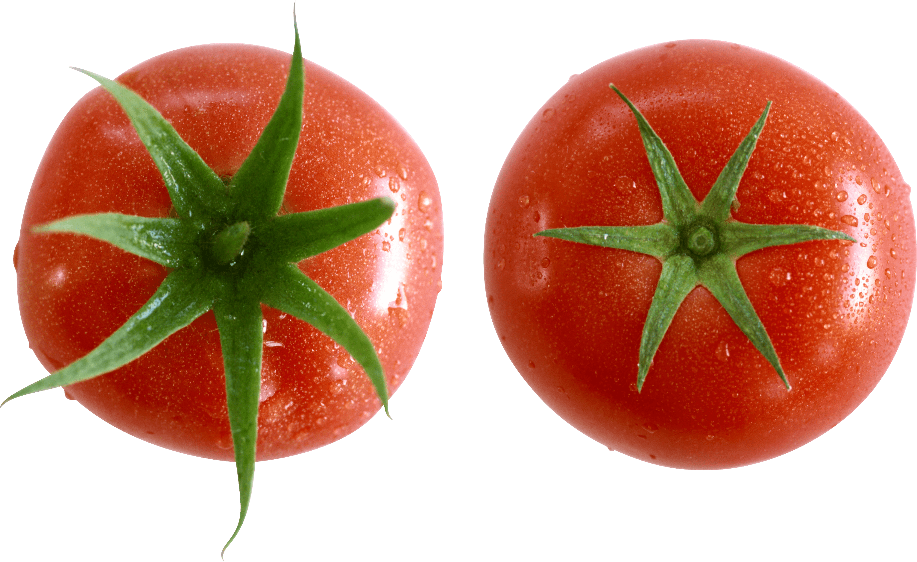 Tomato Transparent PNG Image