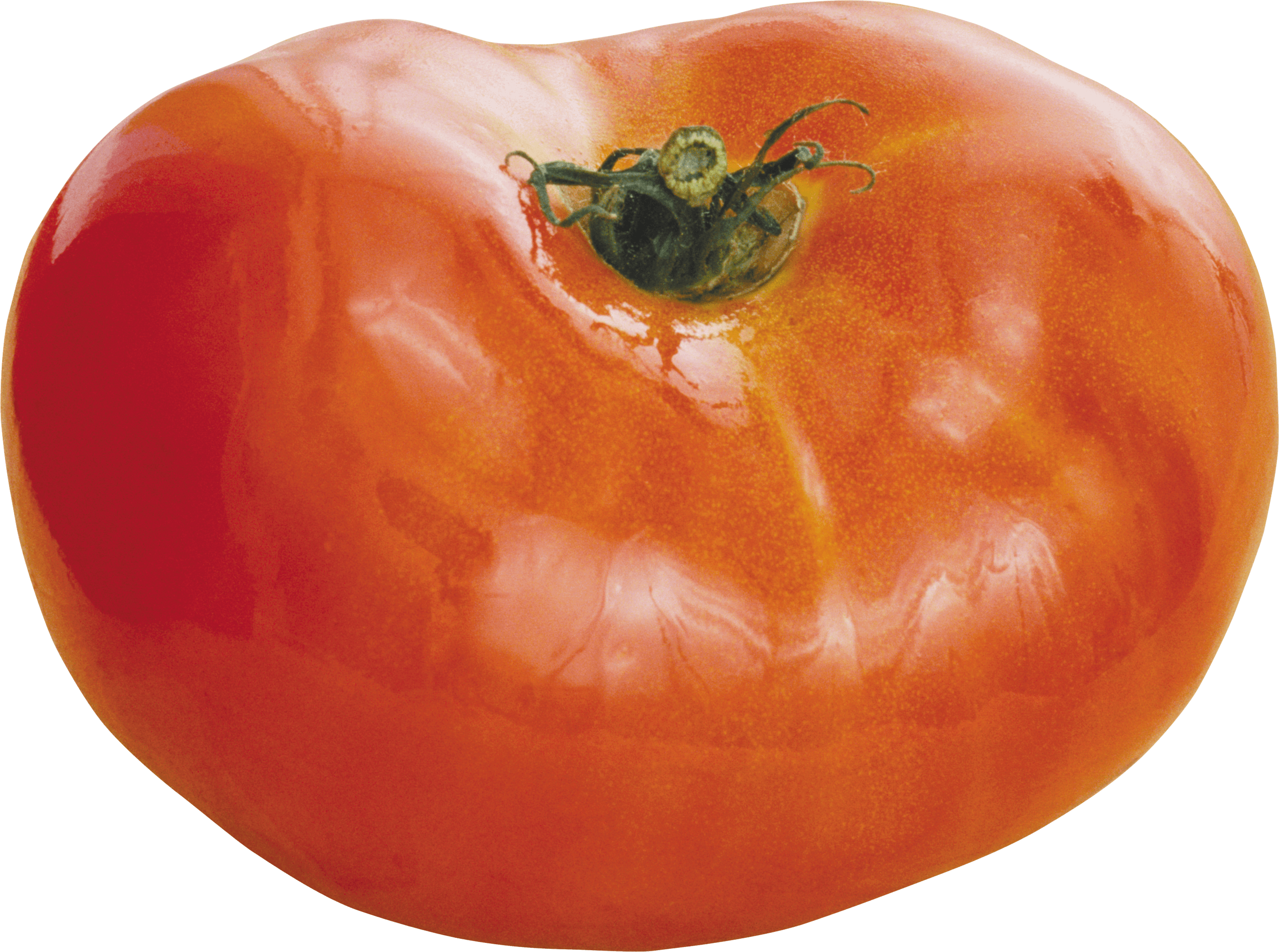 Tomato Transparent PNG Image