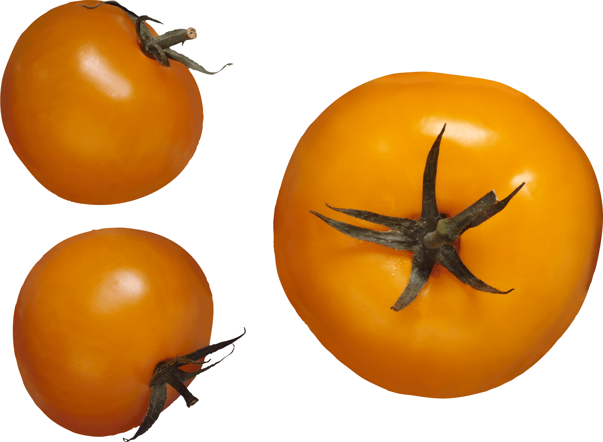 Yellow Tomato Transparent PNG Image