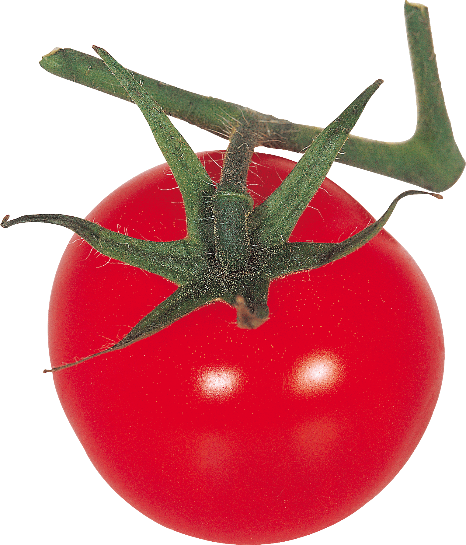 Tomato Transparent PNG Image