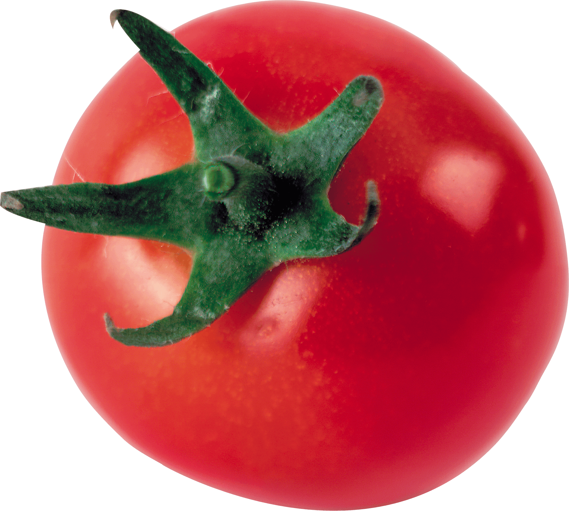 Tomato Transparent PNG Image