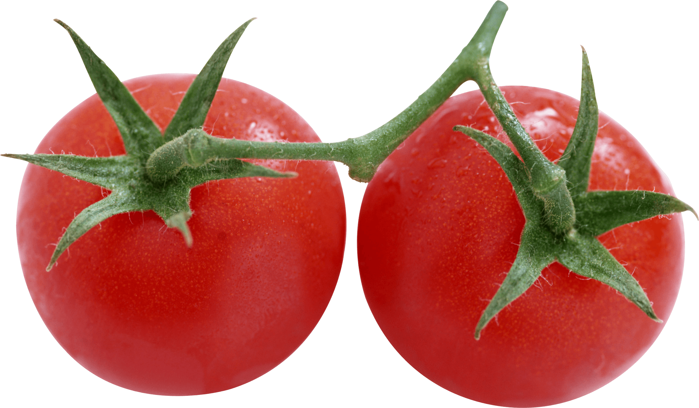 Tomato Transparent PNG Image