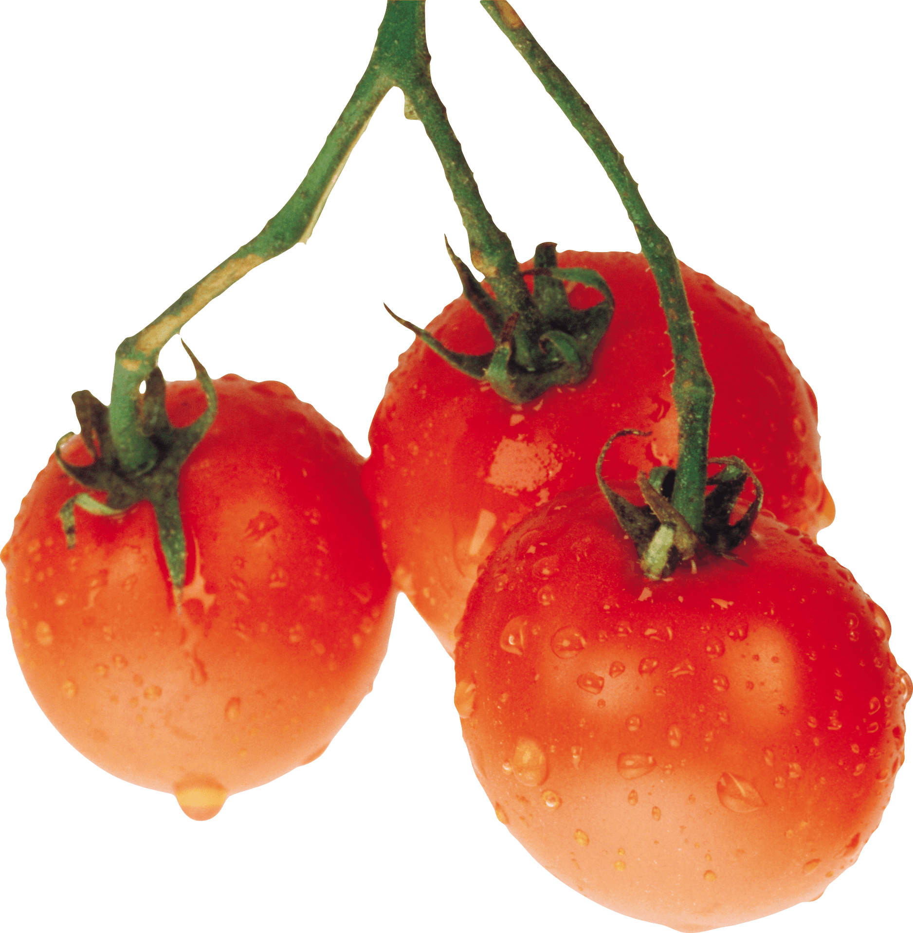 Tomato Transparent PNG Image