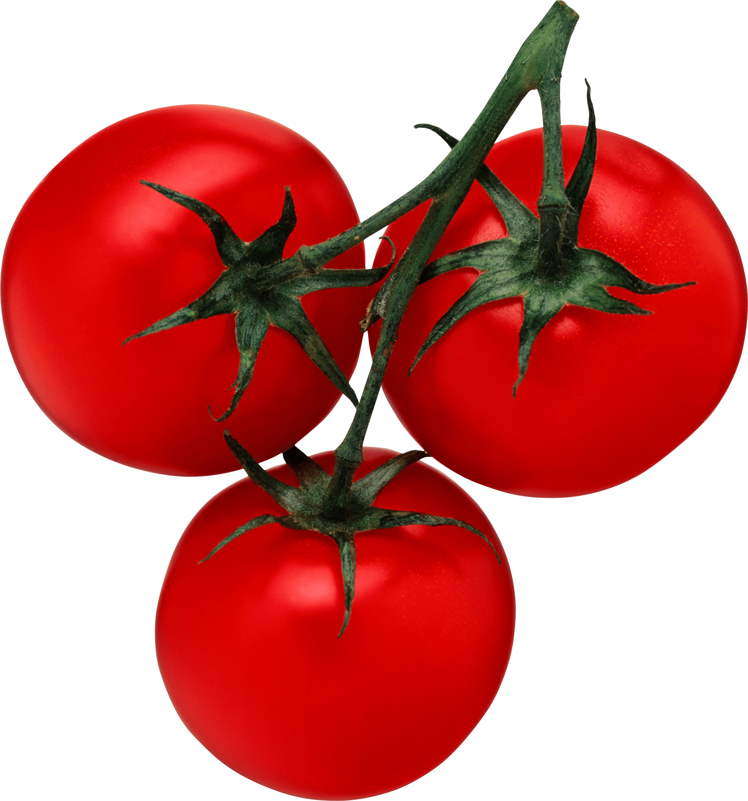 Tomato Transparent PNG Image