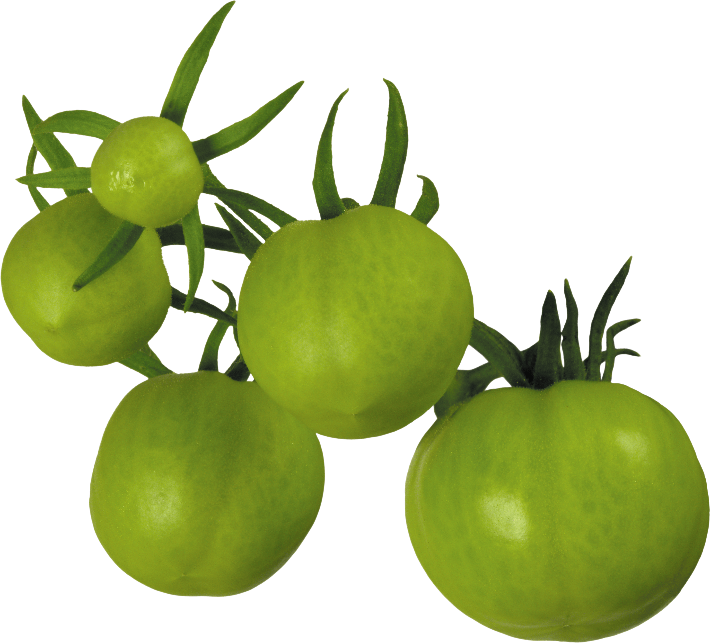 Green Tamato Transparent PNG Image