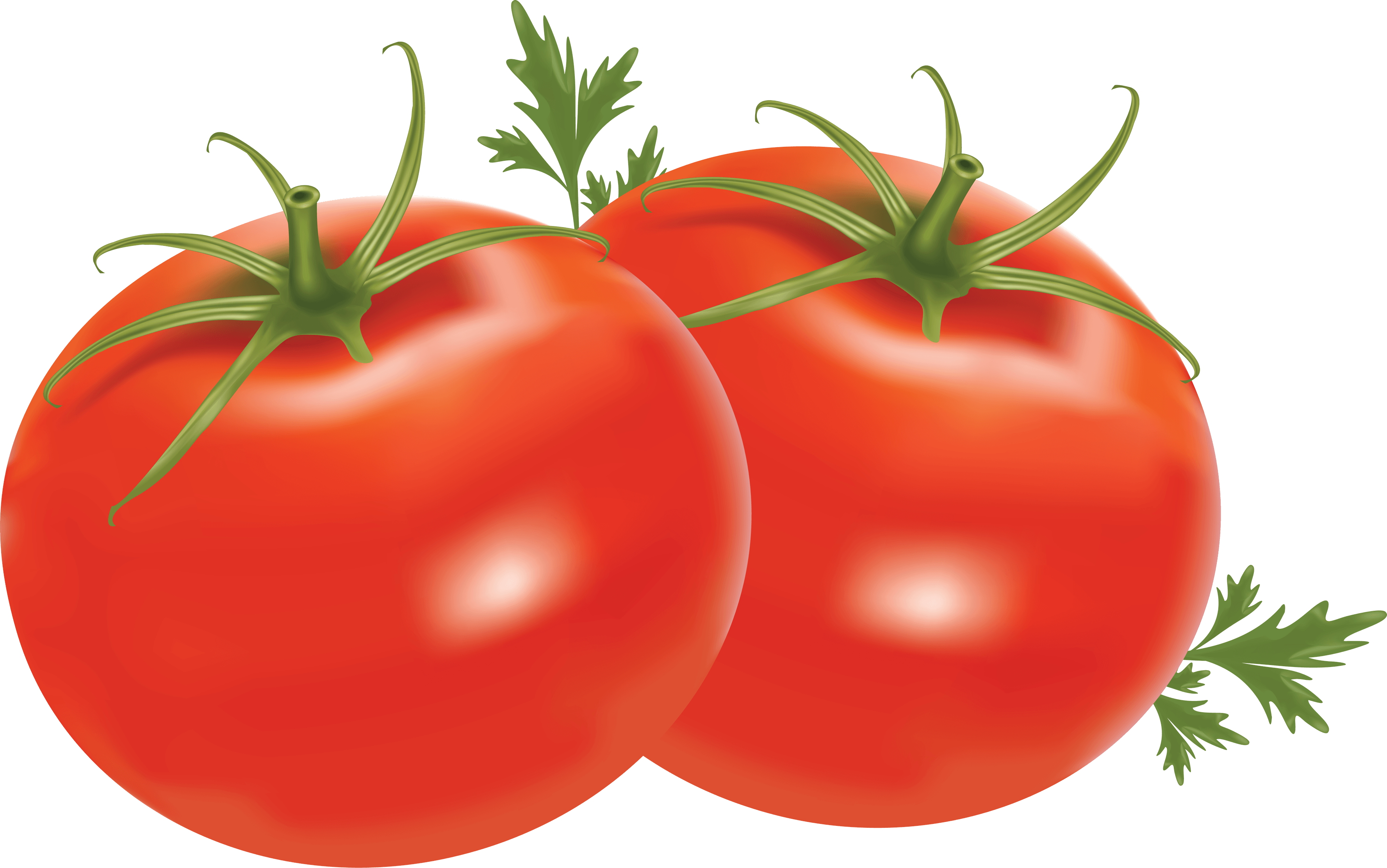 Tomato Transparent PNG Image