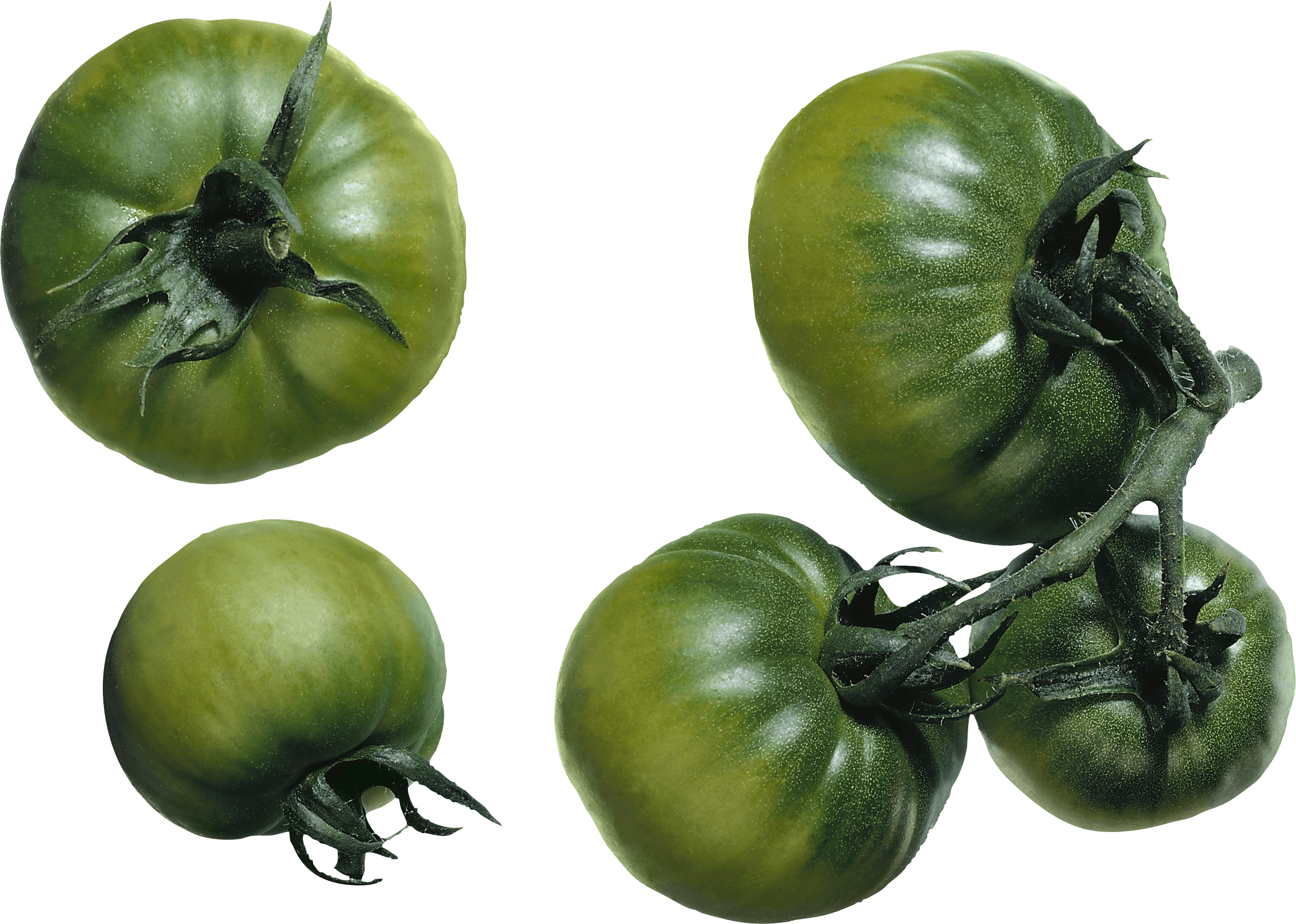 Green Tomato Transparent PNG Image