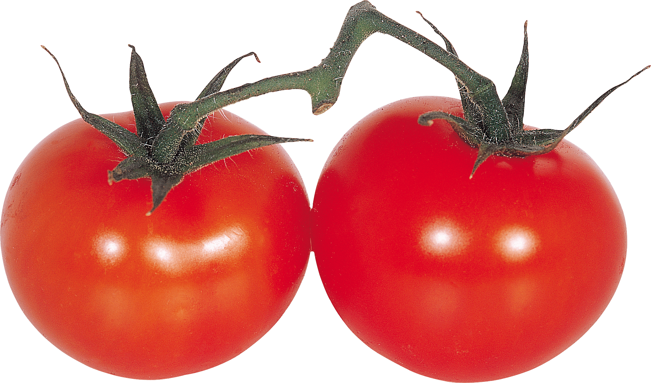 Tomato Transparent PNG Image